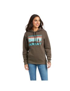 Dámské Mikiny S Kapucí Ariat REAL Arm Logo Viacfarebný | XOVJS-2109
