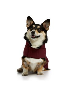 Dámské Pet Accessories Ariat Team Softshell Dog Jackets Vínové | NUAPT-9847