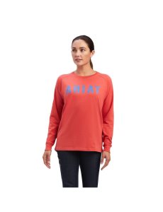 Dámské Pracovní Oděvy Ariat Rebar CottonStrong Block T Shirts Tmavě Blankyt | UAXOG-7845