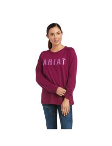 Dámské Pracovní Oděvy Ariat Rebar CottonStrong Block T Shirts Fialové | YJWIH-8574