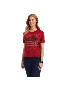Dámské Topy Ariat Cowgirl Canyon Tee Oranžové Růžové | BAFVW-8901