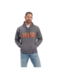Pánské Mikiny Ariat Desert Roam Šedé | QTICX-6270