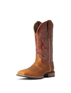 Pánské Westernové Boty Ariat Everlite Go Getter Viacfarebný | LGEAB-0892
