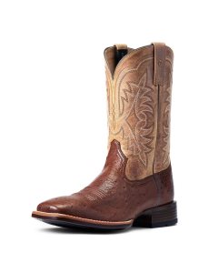 Pánské Westernové Boty Ariat Night Life Ultra Viacfarebný | MZESG-4382