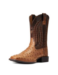 Pánské Westernové Boty Ariat Quantum Primo Viacfarebný | DKLCP-1054