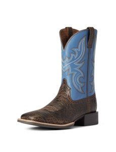 Pánské Westernové Boty Ariat Sportovní Cow Country Hnědé | AGUIY-5943