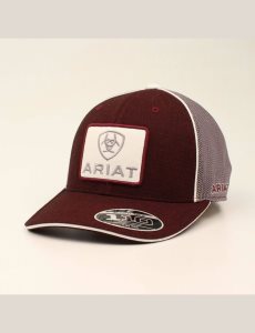 Pánské Čepice Ariat Large logo patch Vínové | XAISU-3681