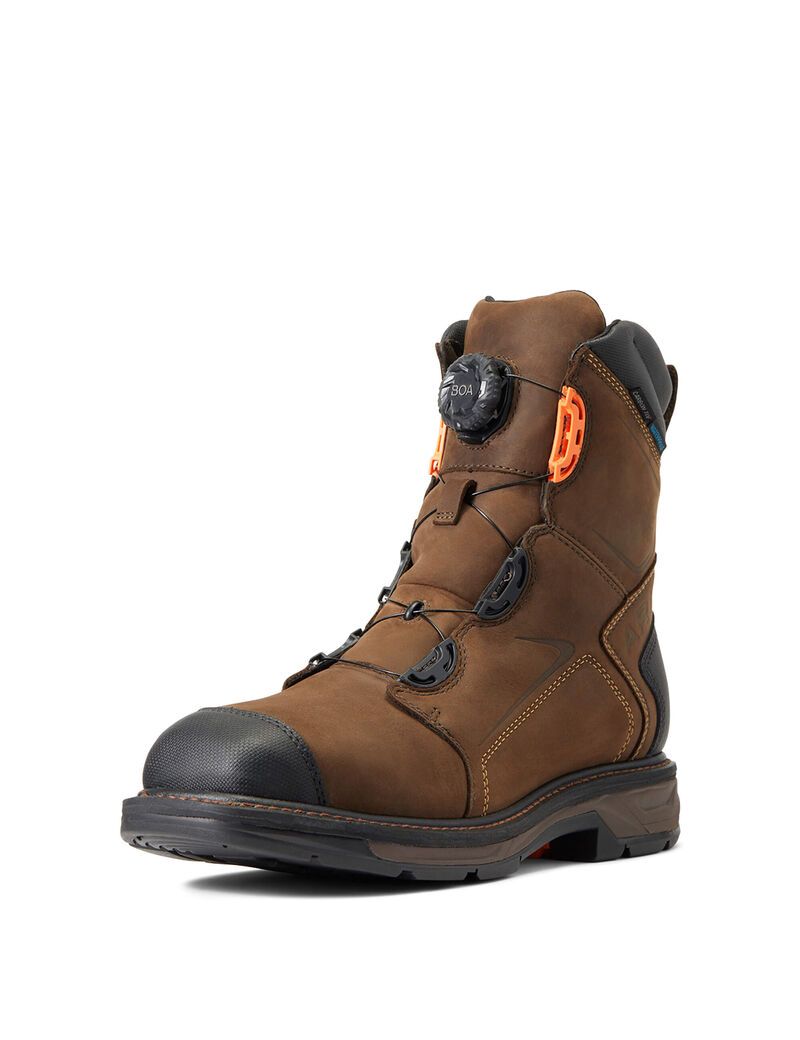 Pánské Pracovní Boty Ariat WorkHog XT 8' BOA Nepromokavé Carbon Špicí Čokolády Hnědé | TMYLQ-2817
